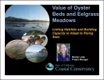 Oyster Beds Deck