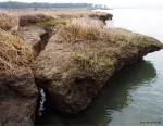 Eroding shorelines