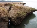 Eroding shorelines