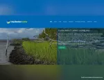 Living Shorelines Academy