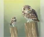 Burrowing owls