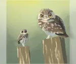 Burrowing owls