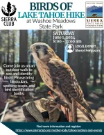 Flyer for Birds of Lake Tahoe Hike on June 1st at 8am. 