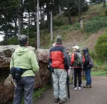 Hikers looking ahead at trees along the path