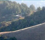 California landscape golden hills with trees