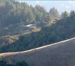 California landscape golden hills with trees