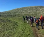 A group of hikers in green winter landscape, blue sky