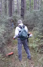 trail volunteer at work