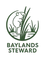 Baylands Steward