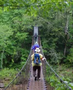Swinging Bridge in Big South Fork National Recreation Area
