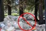 Central Park Ban Plastic