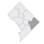 Ward 7