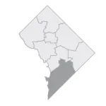 Ward 8
