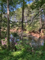 Botanical Gardens Field Trip
