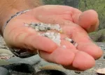 A Handful of pre-production plastic pellets, a.k.a. "nurdles"