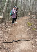 Paris Mountain Park snake