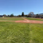 Grass on Baseball Field