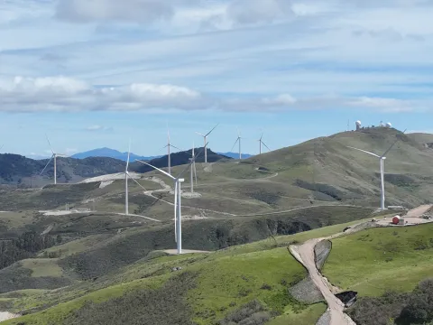 Strauss Wind Project