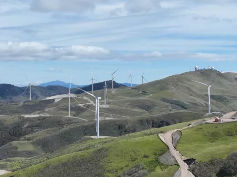 Strauss Wind Project