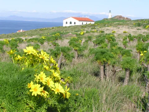 channel islands