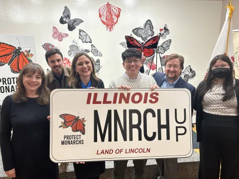 IEC and Sierra Club celebrate monarch victory