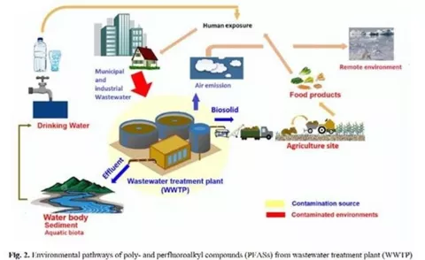 Routes of exposure to PFAS
