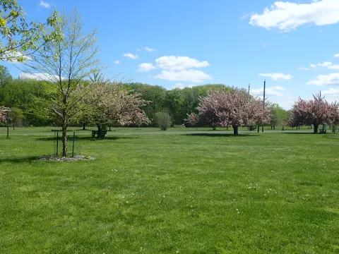 Davidson's Mill Pomd