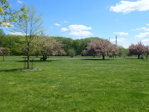 Davidson's Mill Pomd