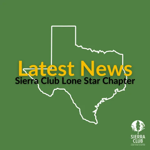 latest news logo