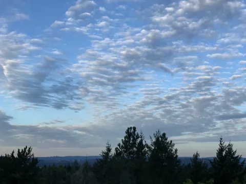 Cloud Photo