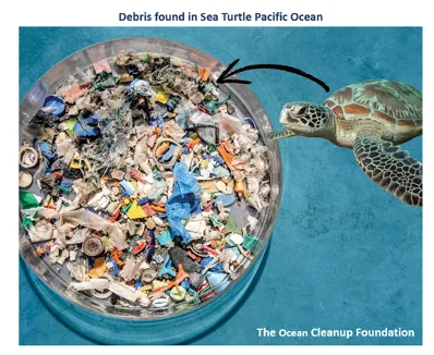 Plastic and Wildlife