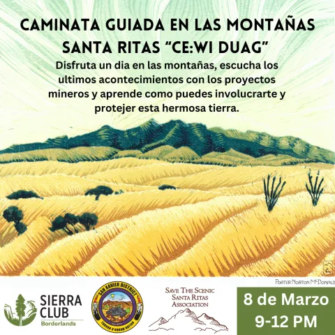 A flyer with art depicting a mountain and grassy plains