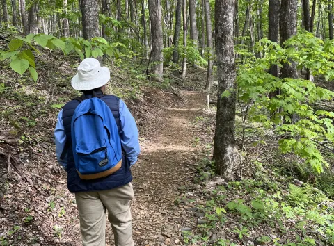 Hiker at Paddy Mountain