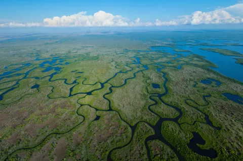 Everglades