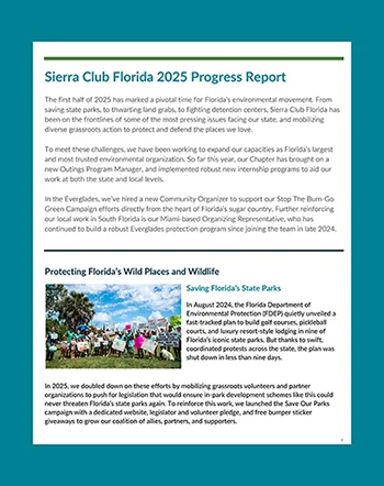 2025 Progress Report