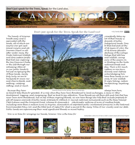 Thumbnail for the Canyon Echo Fall