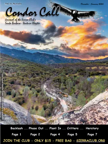 Condor Call Dec. 25 - Jan. 26