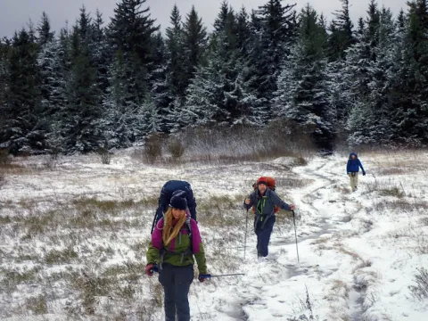 dolly-sods-wilderness-2019