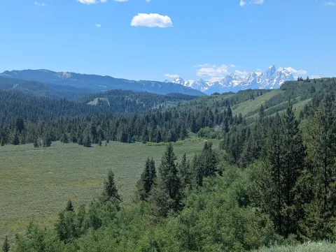 Grand Tetons from Mt Leidy wilderness