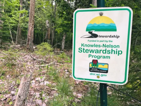 Picture of a forest with a Knowles Nelson Stewardship Program sign