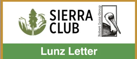 Electronic Newsletter Thumbnail