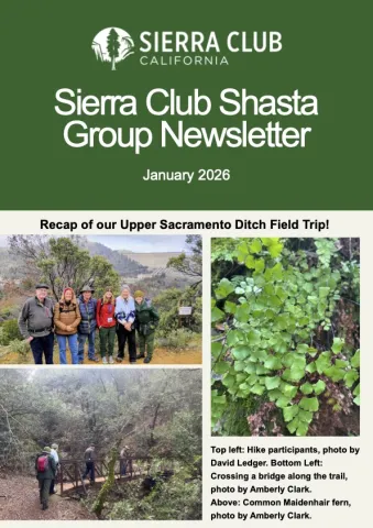 First page, hiking participants on Upper Sacramento Ditch hike, hiking participants crossing bridge, maidenhair fern close up. 