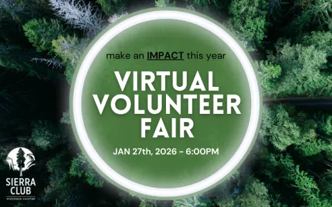 Picture of trees with a green circle in the center with the text "virtual volunteer fair"