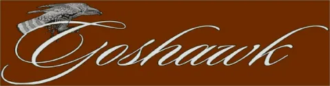 Goshawk logo