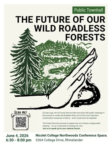 Drawing of a hand stopping a road from going through a forest with script that reads "Wild about roadless forests"