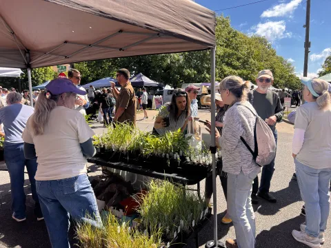Farmers Market 2026