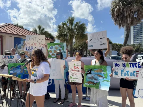Rally to Save Our Shores and Species