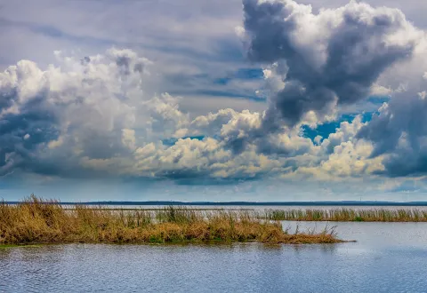 Lake Apopka