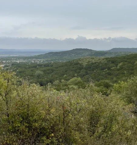 Palo Pinto