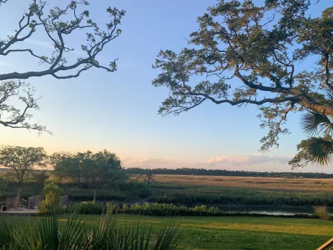 view of trees and marsh